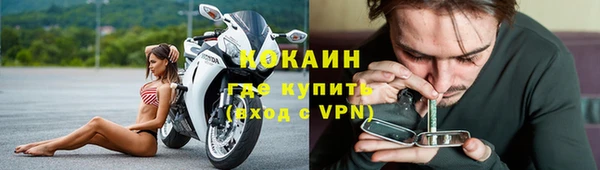 не бодяженный Алексин