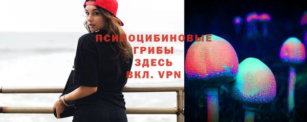 прущая мука Гусев