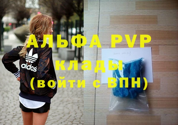 СК Гусь-Хрустальный