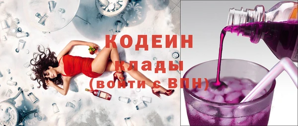 СК Козловка