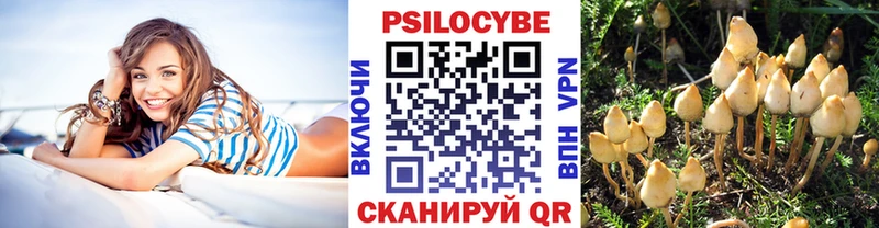 Псилоцибиновые грибы мицелий Новомичуринск